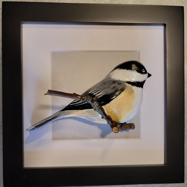 Black-Capped Chickadee