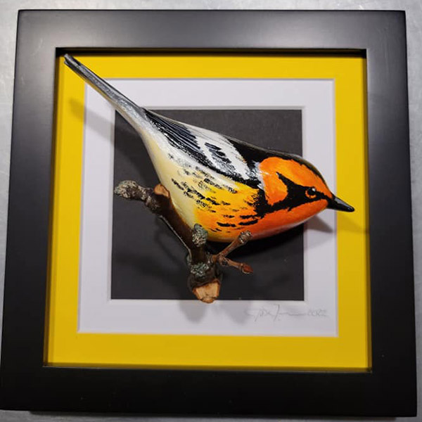 Blackburnian Warbler
