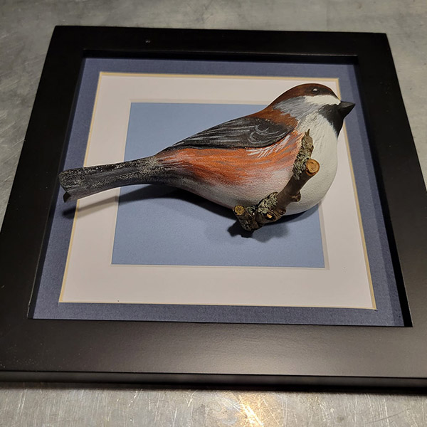Boreal Chickadee