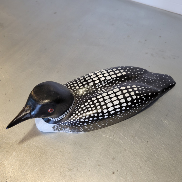Common Loon