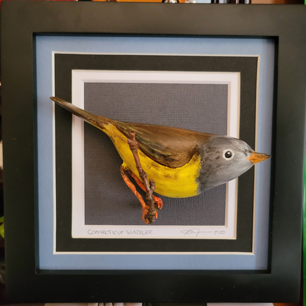 Yellow Throated Warbler