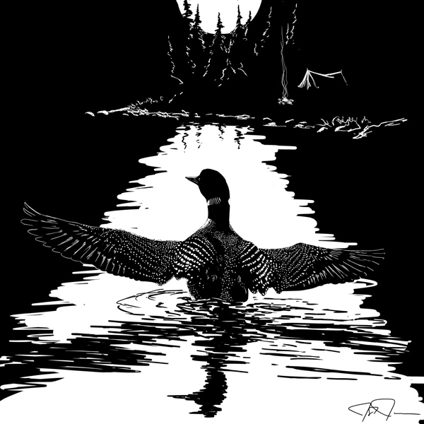 Common Loon