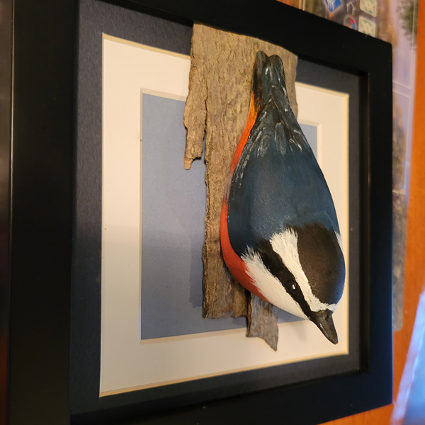 Red-Breasted Nuthatch