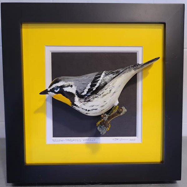 Yellow Throated Warbler