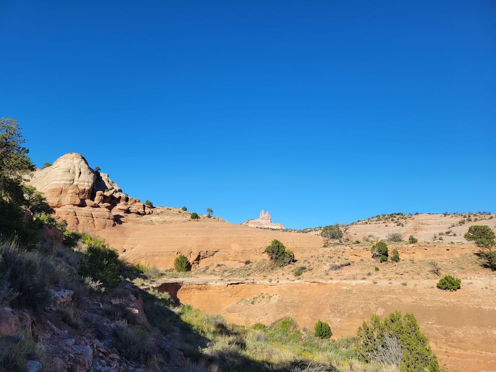 Image may have been reduced in size. Click image to view fullscreen.