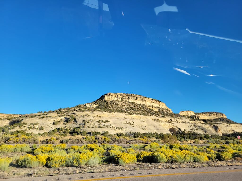 Image may have been reduced in size. Click image to view fullscreen.